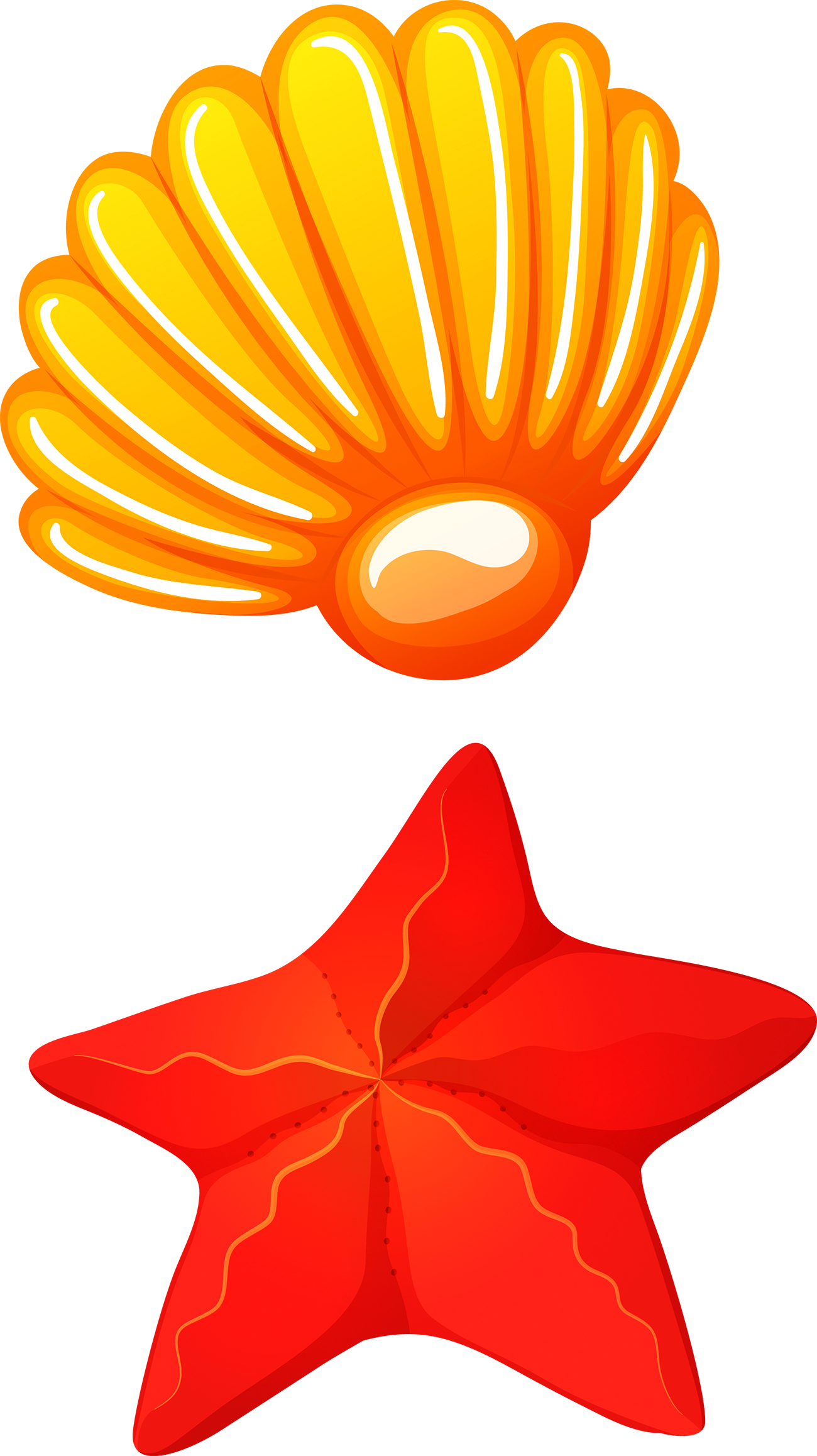 Colorful_ Starfish_and_ Shell_ Clipart