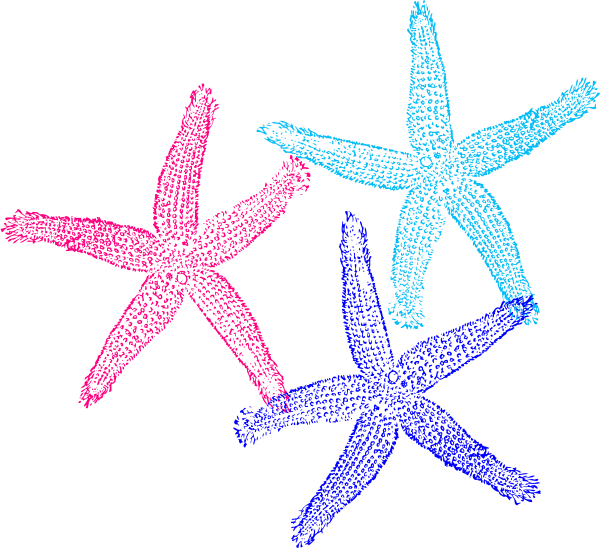 Colorful Starfish Trio Clipart