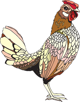 Colorful Stylized Rooster Illustration PNG with transparent background