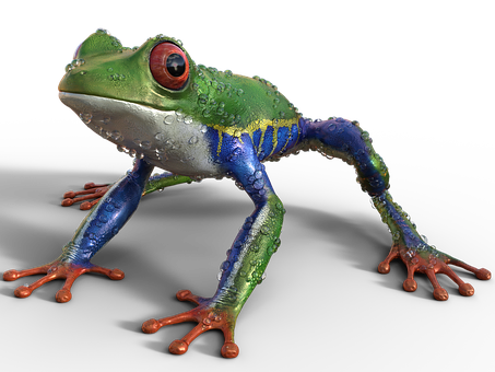 Colorful Tree Frog Black Background PNG with transparent background