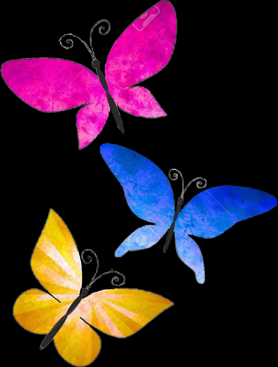 Colorful Trio Butterflies Art