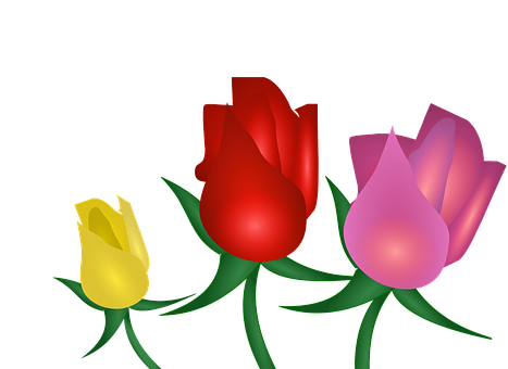 Colorful Trioof Roses Illustration