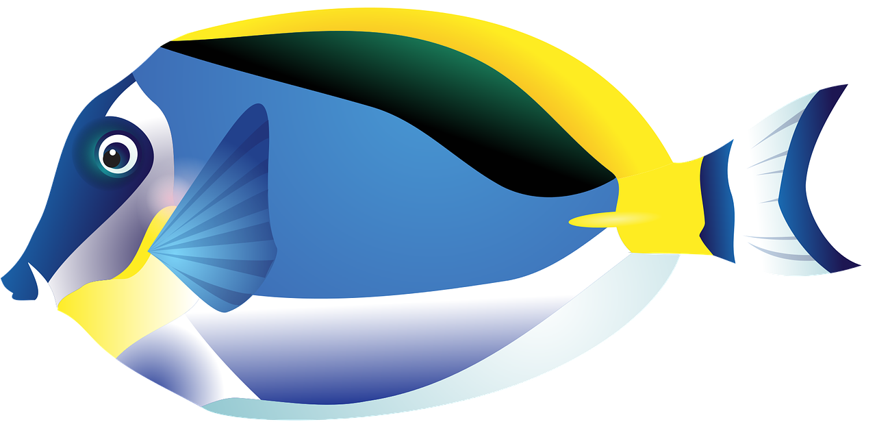 Fish, Tropical Fish, Sea, Surgeon - Tropical Fish Clipart, HD Png Download PNG with transparent background