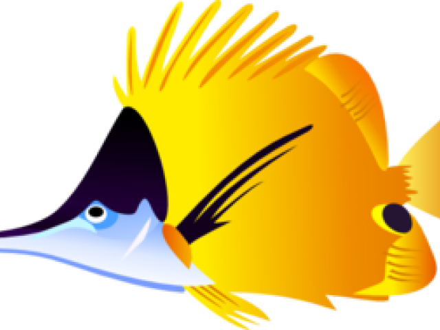 Tropical Fish Clipart Beta - Tropical Fish Clipart, HD Png Download PNG with transparent background