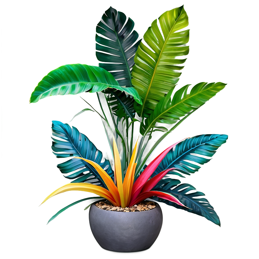 Colorful Tropical Plant Png 36