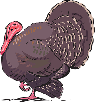 Colorful Turkey Illustration PNG with transparent background