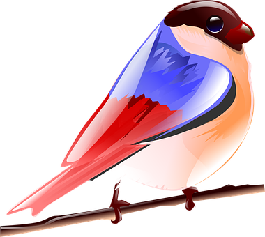 Colorful_ Vector_ Bird_ Illustration