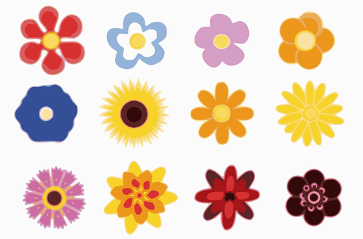 Colorful Vector Flowers Illustration PNG with transparent background