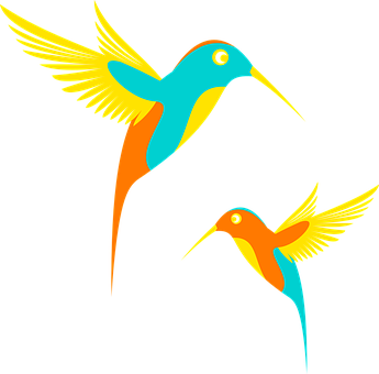 Colorful Vector Hummingbirds PNG with transparent background