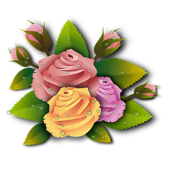 Colorful Vector Roses Illustration PNG with transparent background