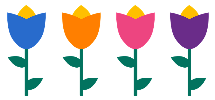 Colorful Vector Tulips Illustration PNG with transparent background