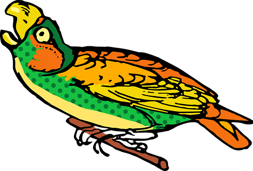 Colorful Vintage Bird Illustration