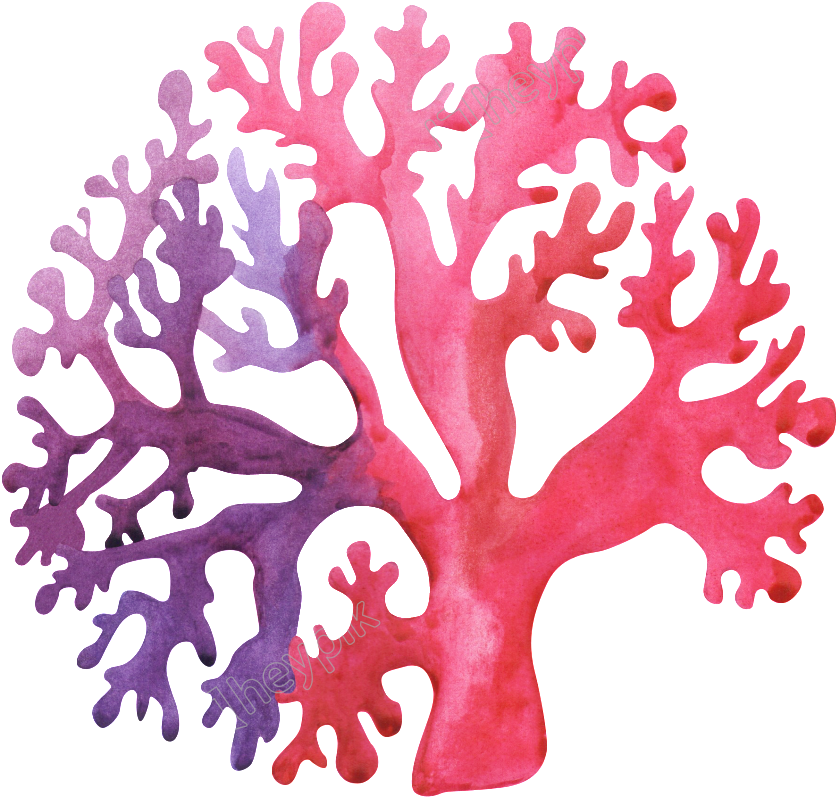 Colorful Watercolor Coral Illustration