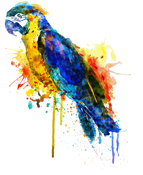 Bleed Area May Not Be Visible - Parrot Art PNG with transparent background