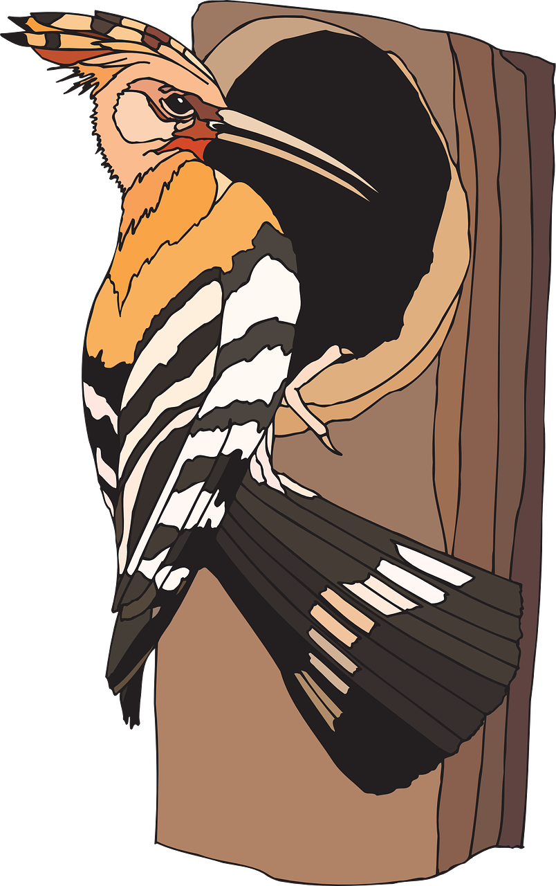 Colorful Woodpecker Illustration.png