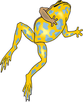 Colorful Yellow Blue Frog Illustration PNG with transparent background