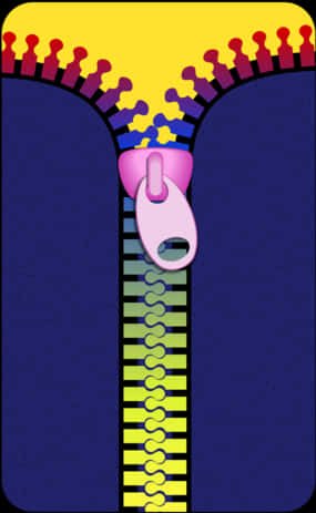 Zipper Colored Png, Transparent Png PNG with transparent background
