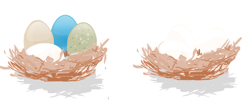 Colorfuland Plain Eggsin Nests PNG with transparent background