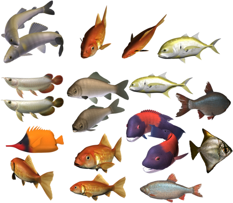 Colour Fish Images Png, Transparent Png PNG with transparent background