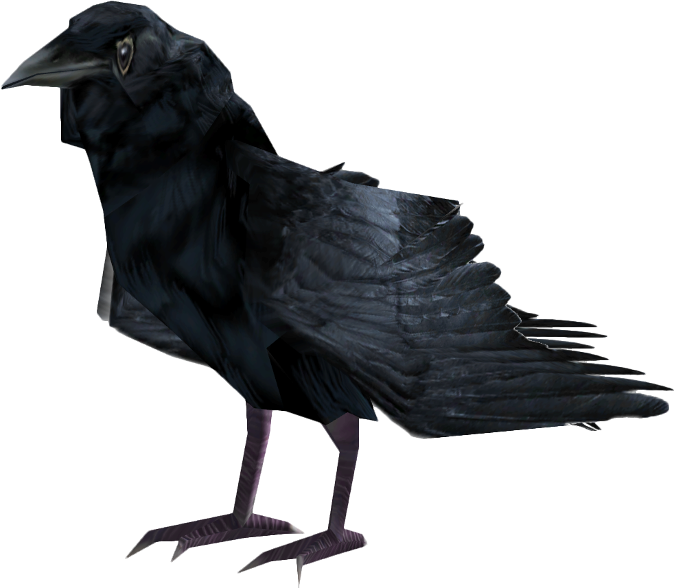 Common Raven Png Photo - Fallout 4 Raven, Transparent Png PNG with transparent background