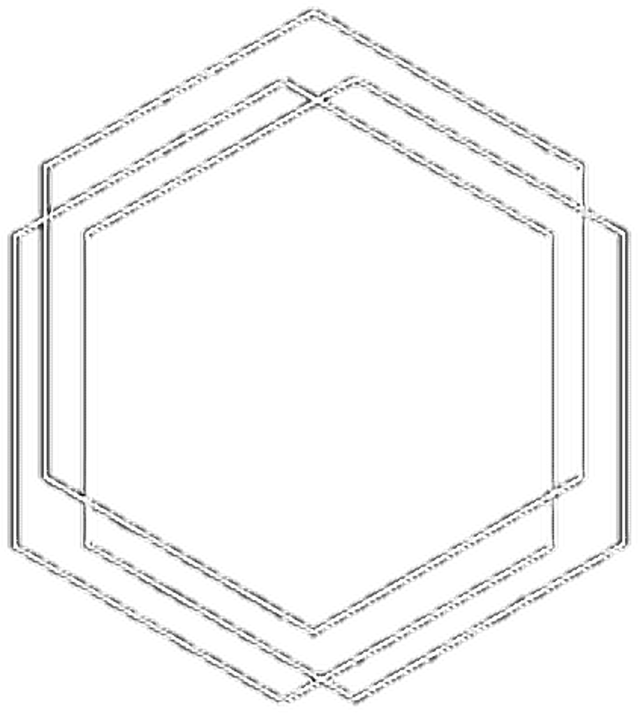 Concentric Hexagons Outline