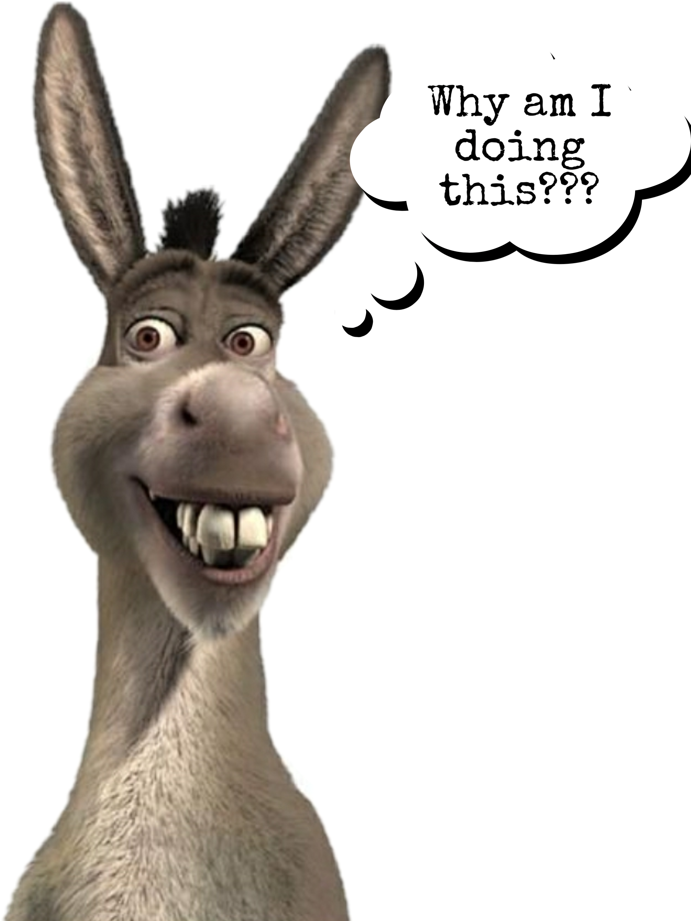 Confused Donkey Cartoon Character