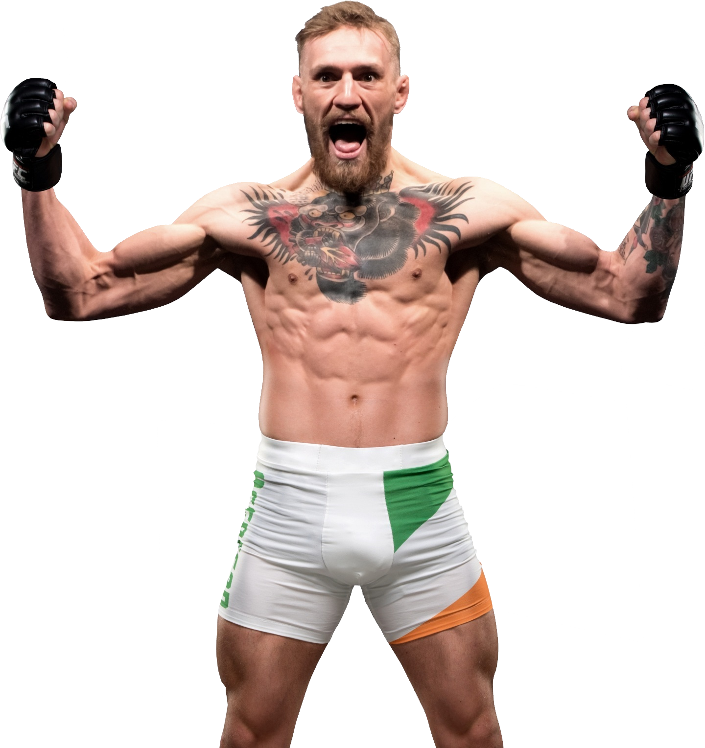 Conor Mc Gregor Victory Pose