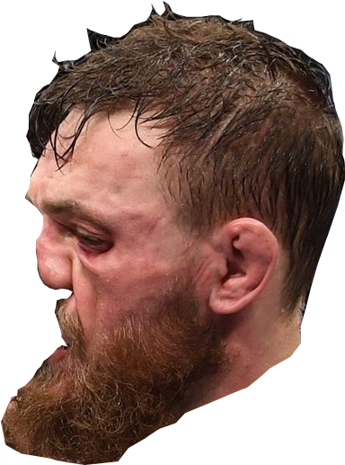 Conor Mcgregor Head Png - New Hand Touches The Beacon Meme, Transparent Png PNG with transparent background