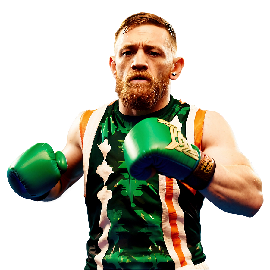Conor McGregor in Fight Stance PNG 35 PNG with transparent background
