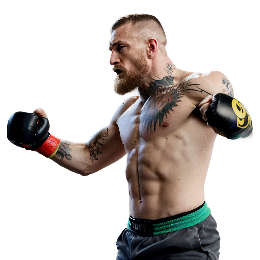 Conor McGregor in Fight Stance PNG dis75 PNG with transparent background