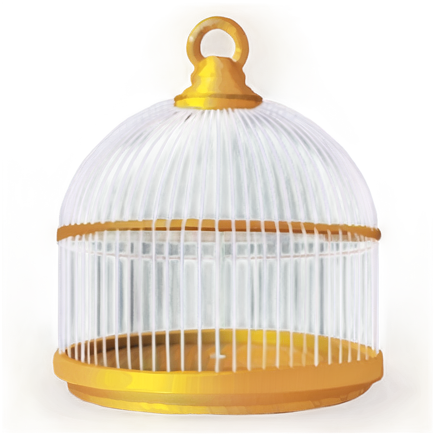 Contemporary Birdcage Png 05252024