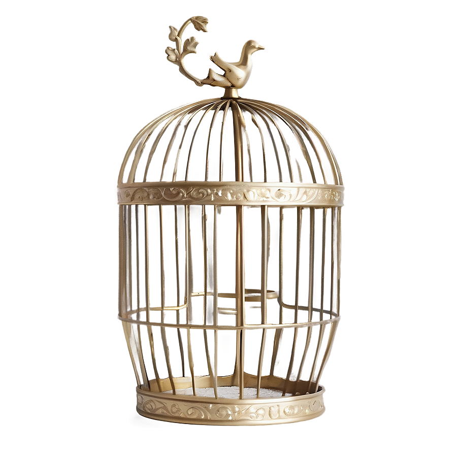 Contemporary Birdcage Png 05252024