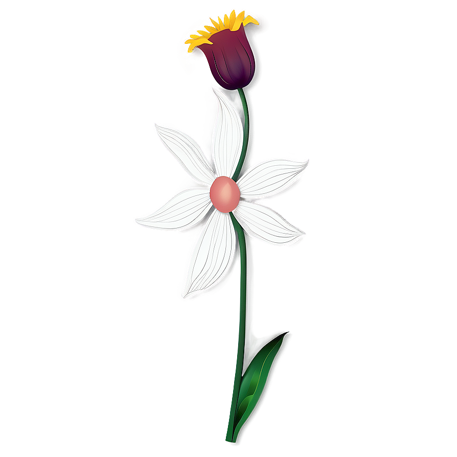 Contemporary Flower Outline Png 05252024