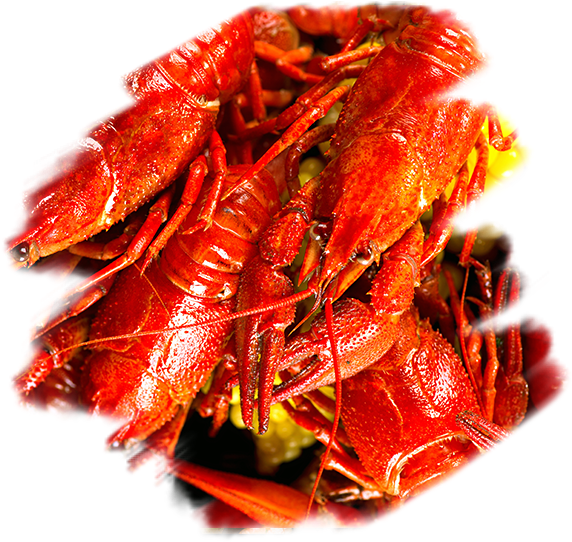 Cooked Crayfish Pile.png