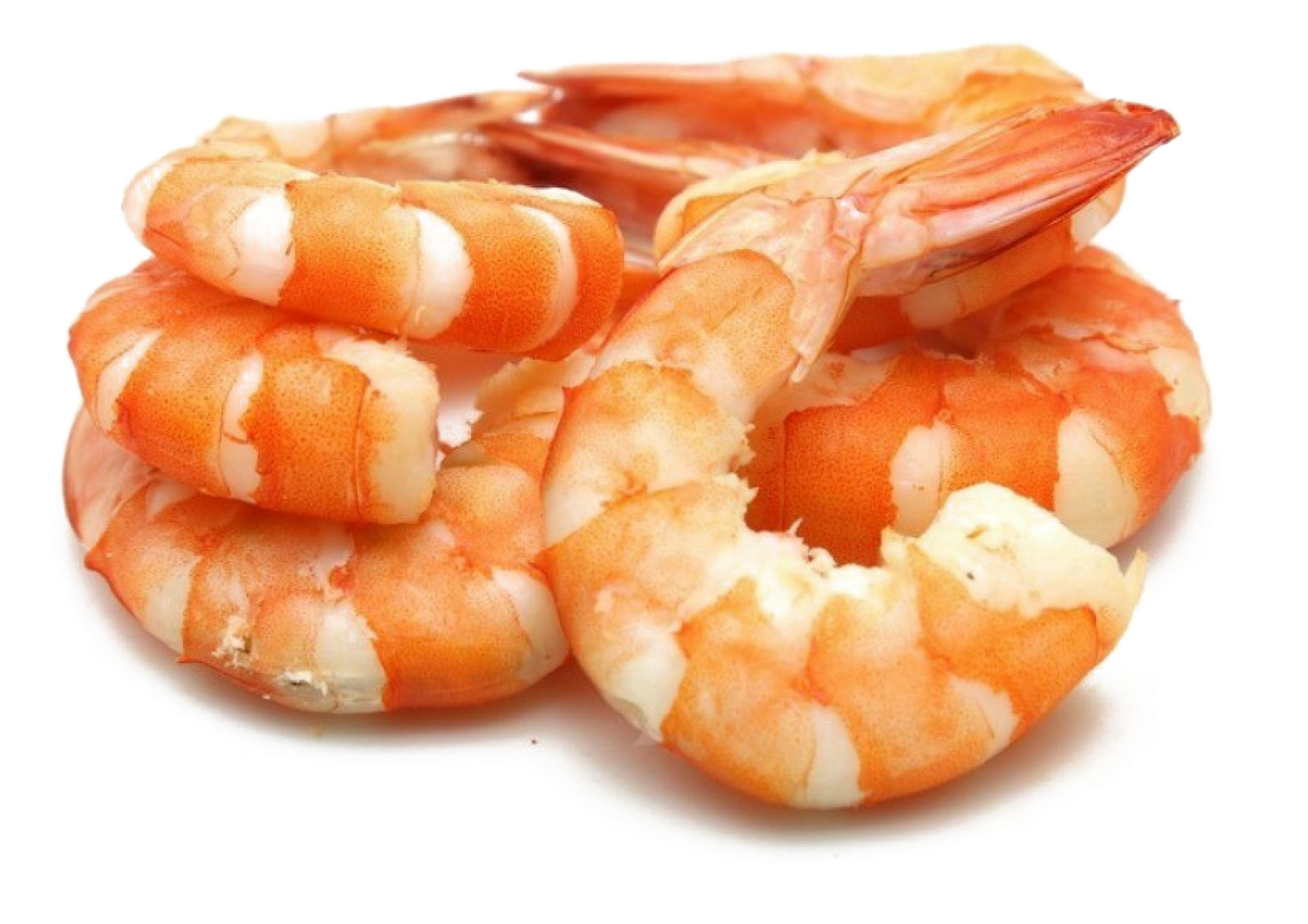 Shrimp Download Free Png - Cooked Tail On Shrimp, Transparent Png PNG with transparent background