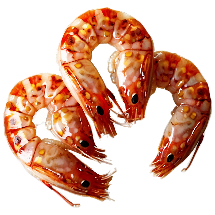 Cooked Shrimp Png Mer