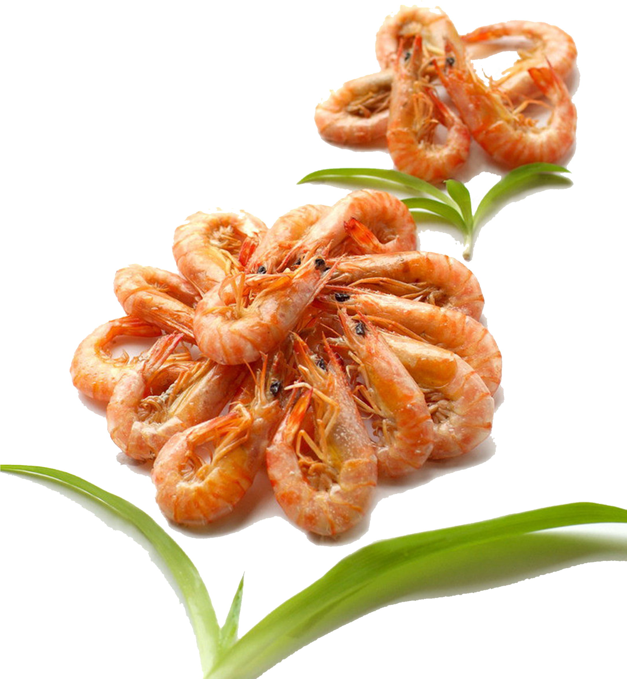 Grilled Shrimp Png - Shrimp And Prawn, Transparent Png PNG image with a transparent background, free high-resolution download