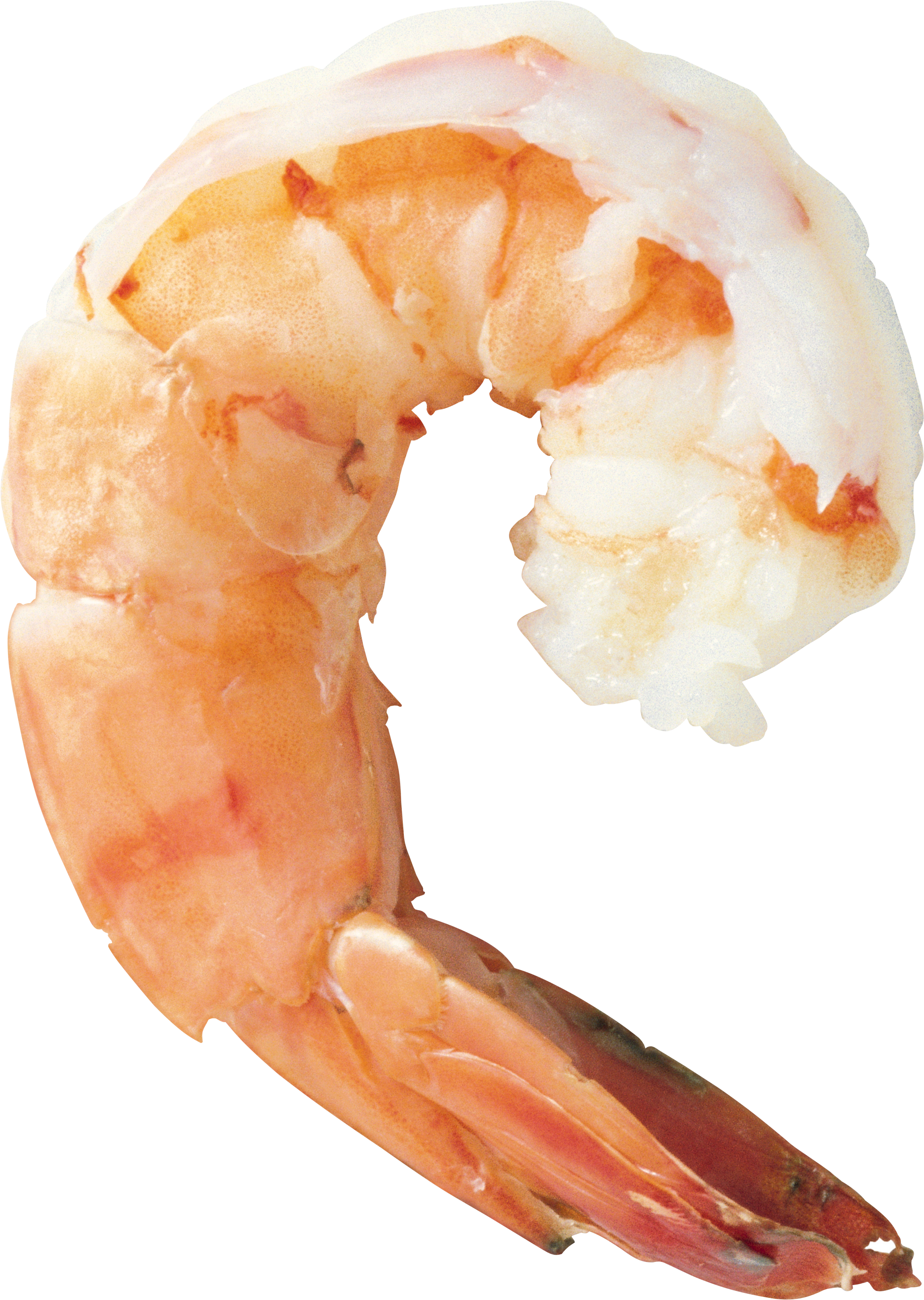 Shrimp Png, Transparent Png PNG with transparent background