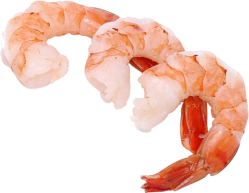 Cooked Shrimp Transparent Background