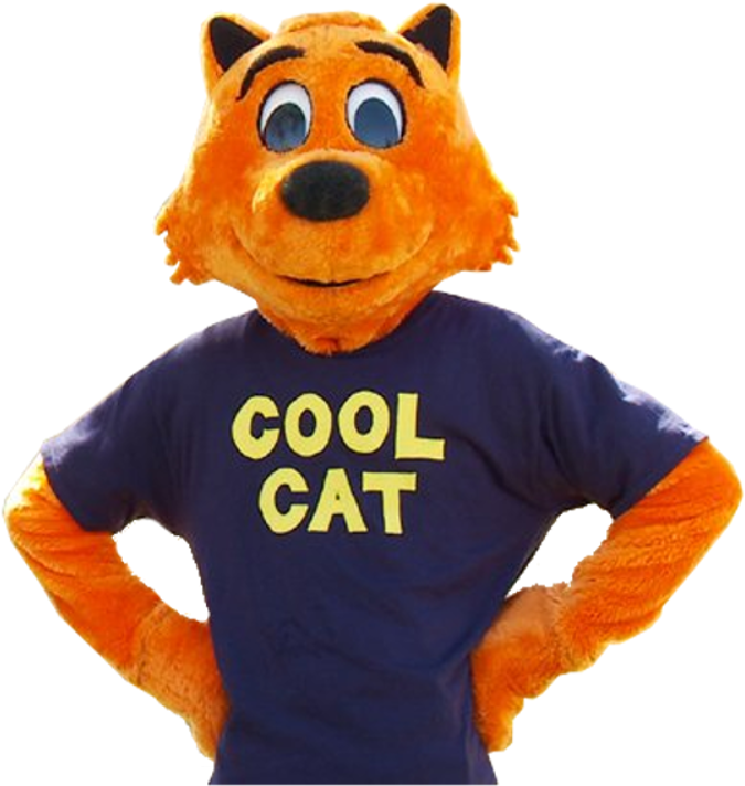 Cool Cat Costume Character