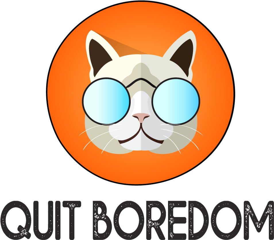 Cool Cat Meme Quit Boredom