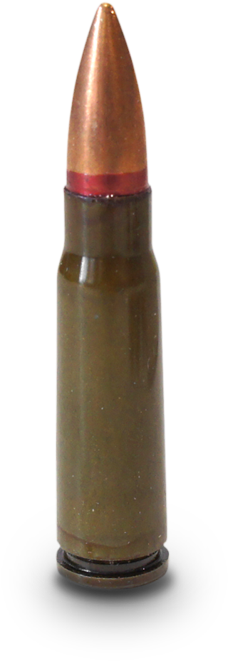 Copper Tipped Bullet Standing