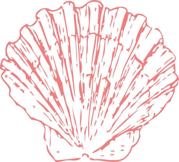 Seashell Clipart Transparent Background, HD Png Download PNG with transparent background