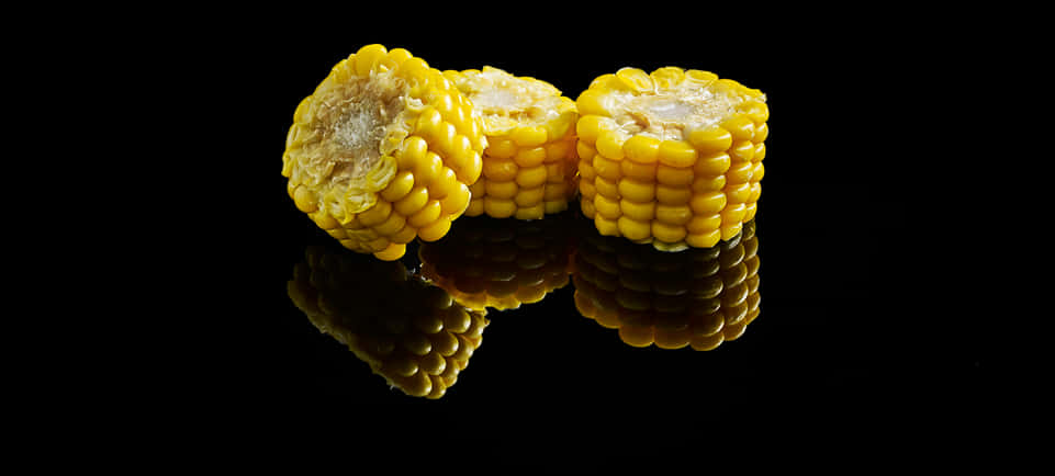 Corn Cob Reflectionon Black Background