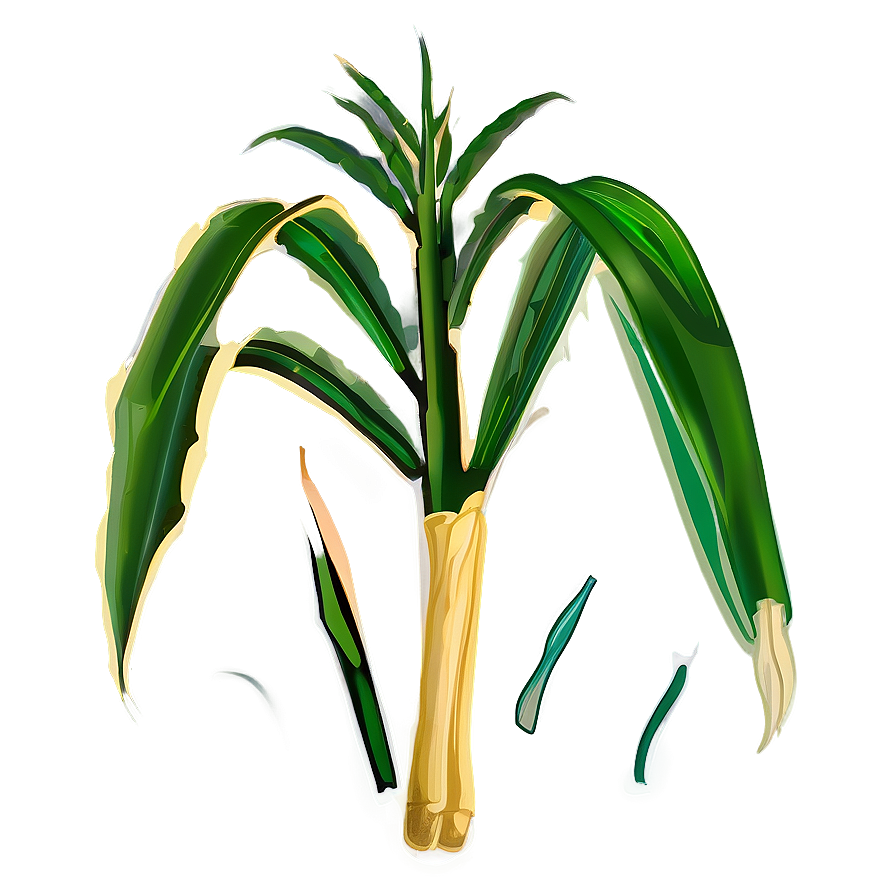 Corn Stalk Silhouette Png 15