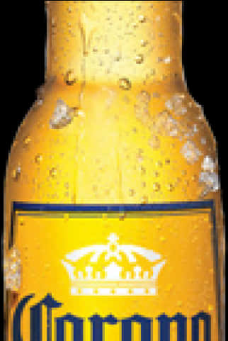 Corona Beer Bottle Closeup