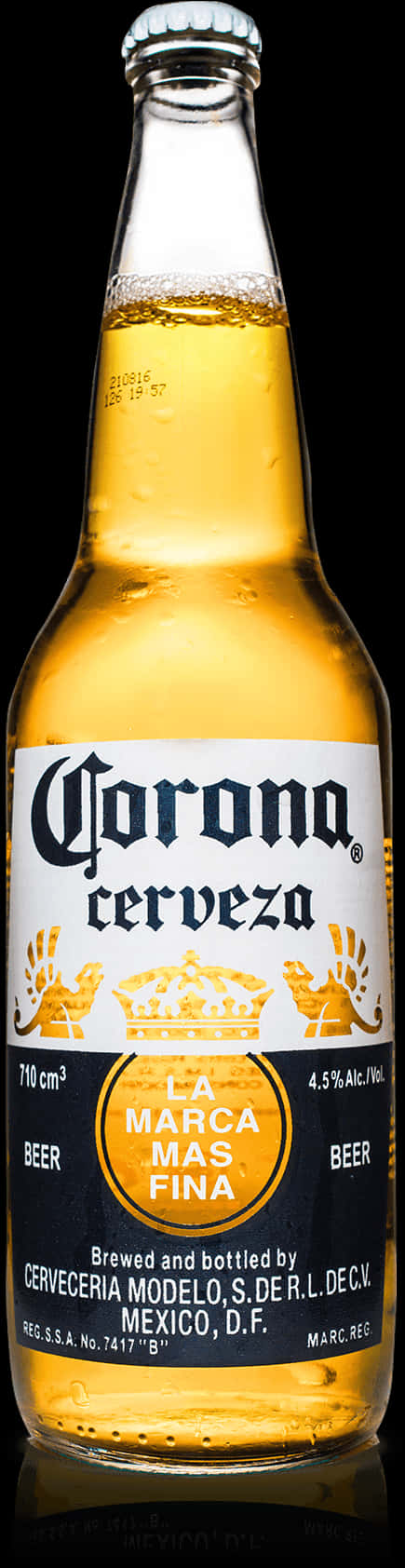 Corona Beer Bottle Studio Shot