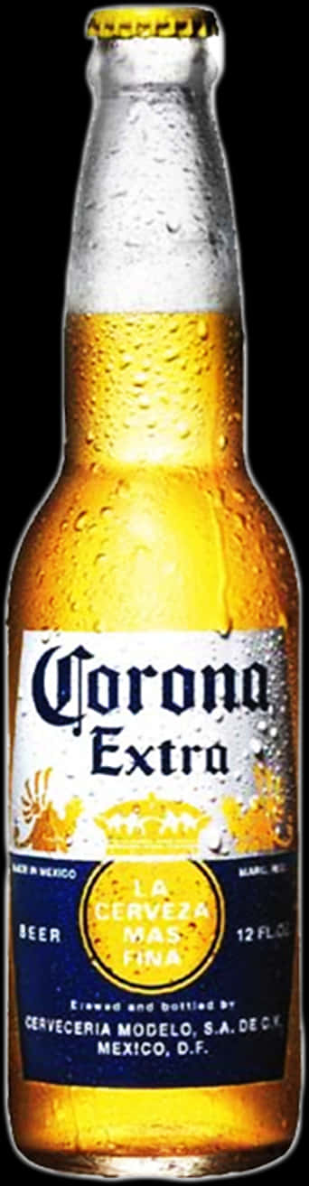 Corona Extra Beer Bottle