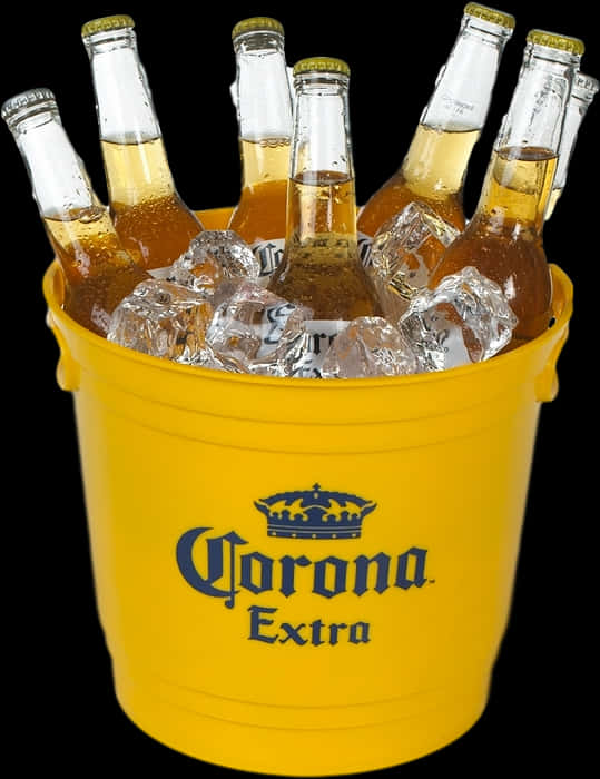 Corona Extra Beer Bucket Chilled