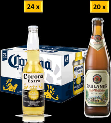 Corona Extraand Paulaner Beer Comparison